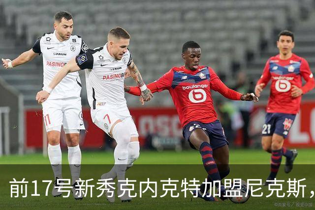 前17号新秀克内克特加盟尼克斯，签署双向协议